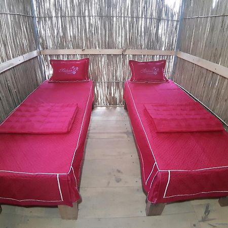 Indigenous Homestay- Trek- Food- Bus Mu Cang Chai Bagian luar foto