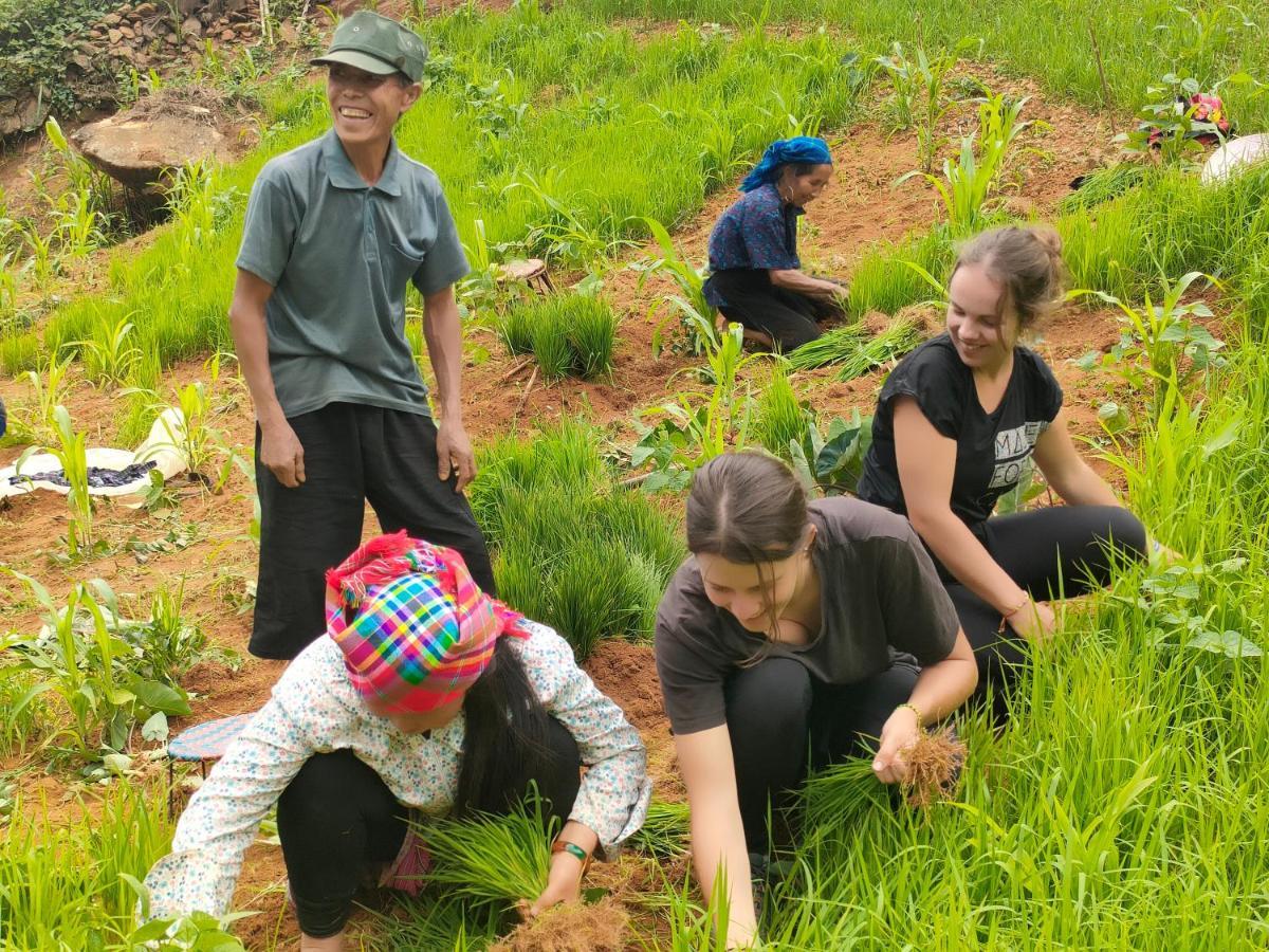 Indigenous Homestay- Trek- Food- Bus Mu Cang Chai Bagian luar foto