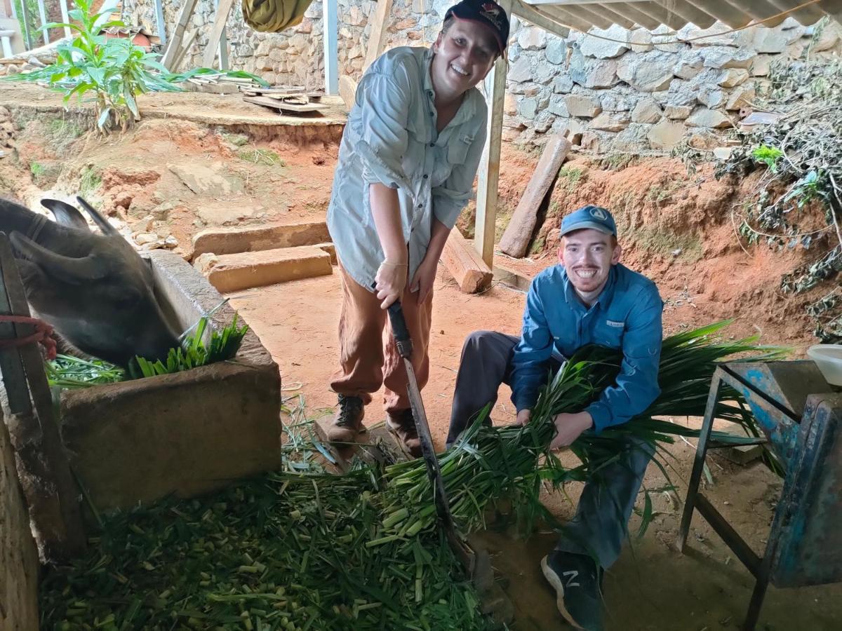 Indigenous Homestay- Trek- Food- Bus Mu Cang Chai Bagian luar foto