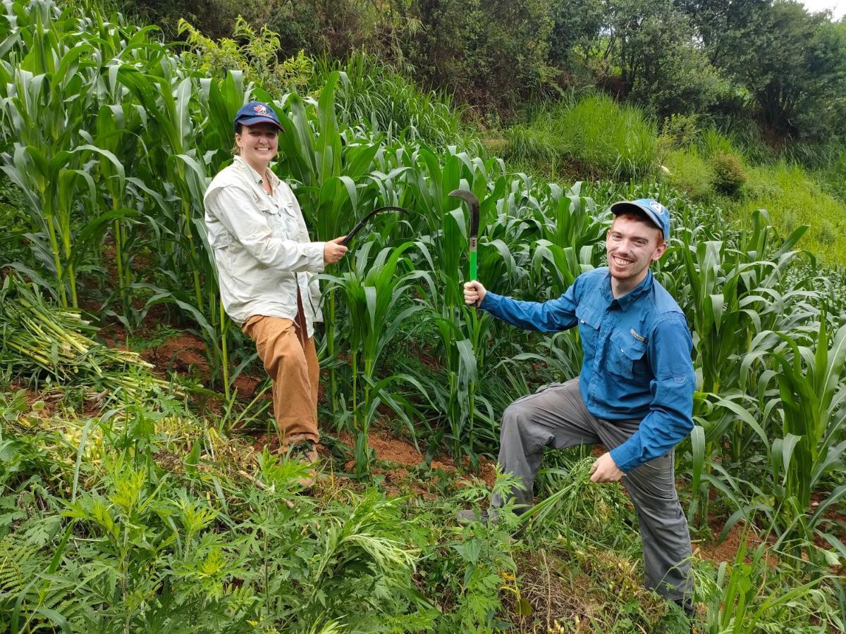 Indigenous Homestay- Trek- Food- Bus Mu Cang Chai Bagian luar foto