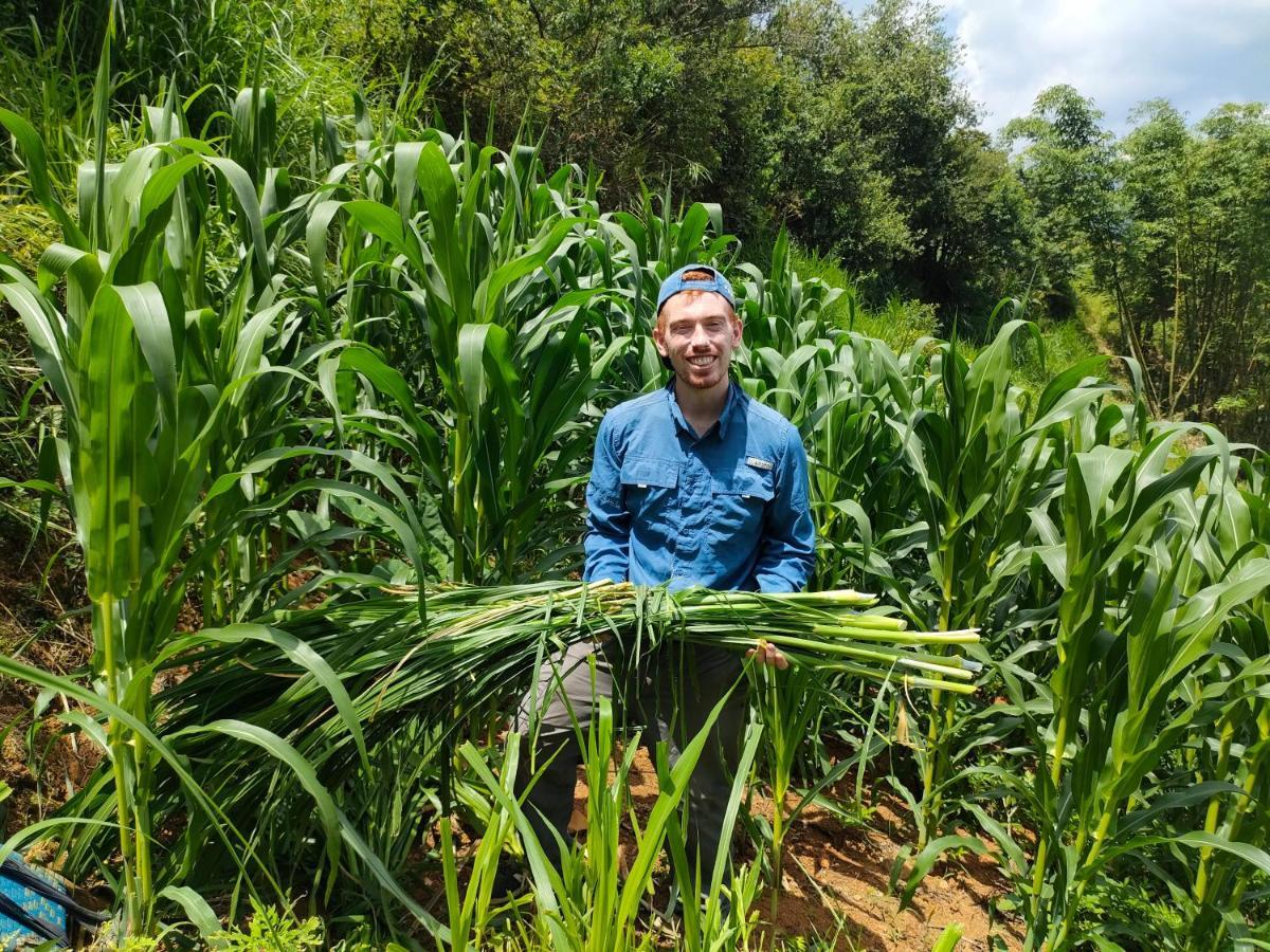 Indigenous Homestay- Trek- Food- Bus Mu Cang Chai Bagian luar foto