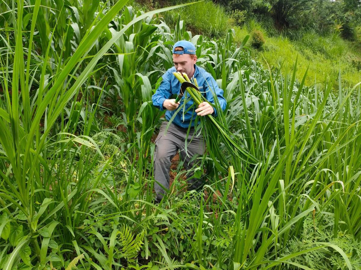 Indigenous Homestay- Trek- Food- Bus Mu Cang Chai Bagian luar foto