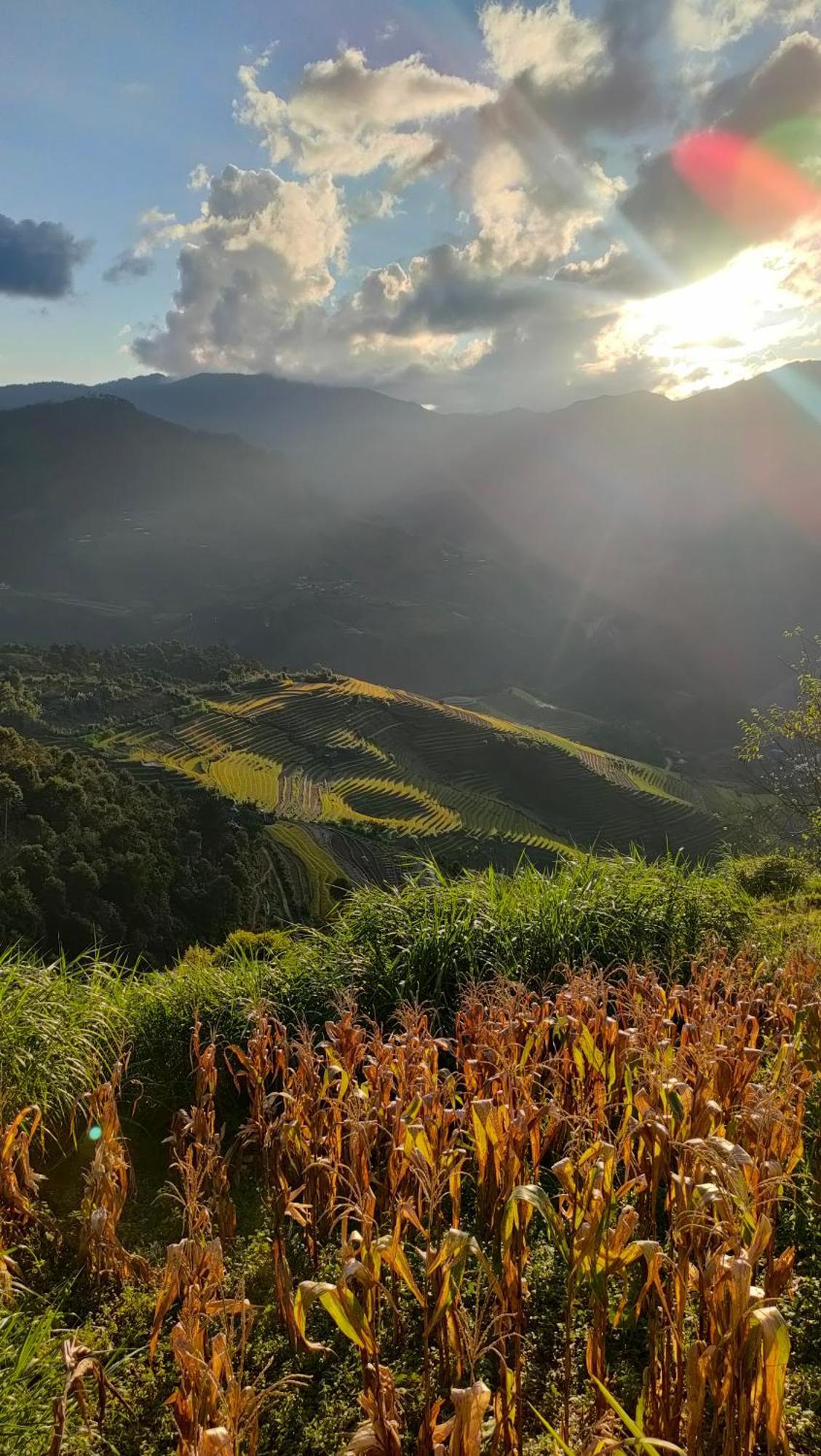Indigenous Homestay- Trek- Food- Bus Mu Cang Chai Bagian luar foto