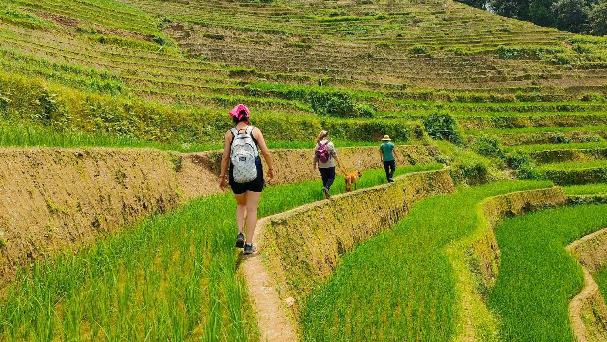 Indigenous Homestay- Trek- Food- Bus Mu Cang Chai Bagian luar foto